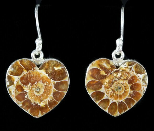 Fossil Ammonite Heart Earrings - Sterling Silver #48735